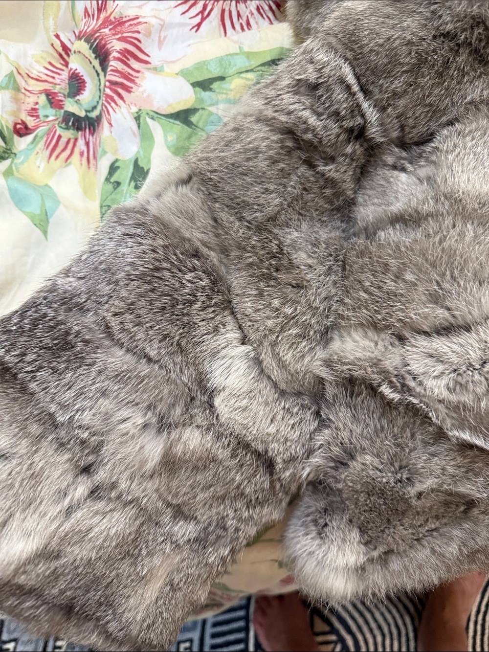 Surell Oversized Rabbit Fur Pull-Through

Gray Rabbit Fur Scarf - Picture 8 of 9